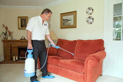 Stain Protection